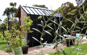 thumbnail: Garden