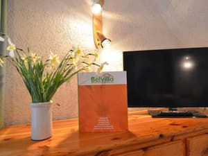 thumbnail: Reception