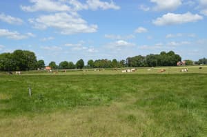 thumbnail: View from property