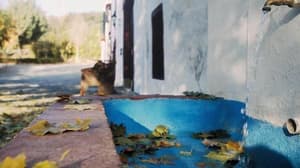thumbnail: Exterior