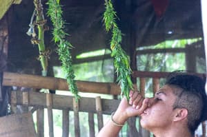 Port Antonio thumbnail