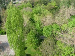 thumbnail: View from property