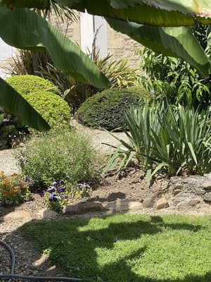 thumbnail: Garden