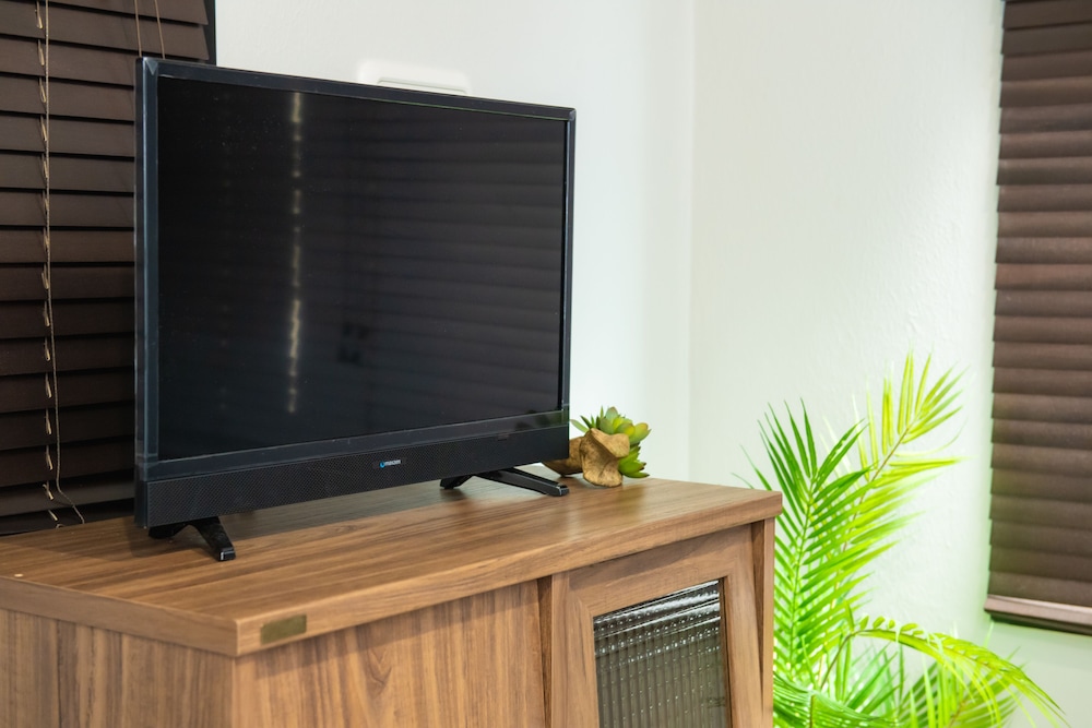 Television