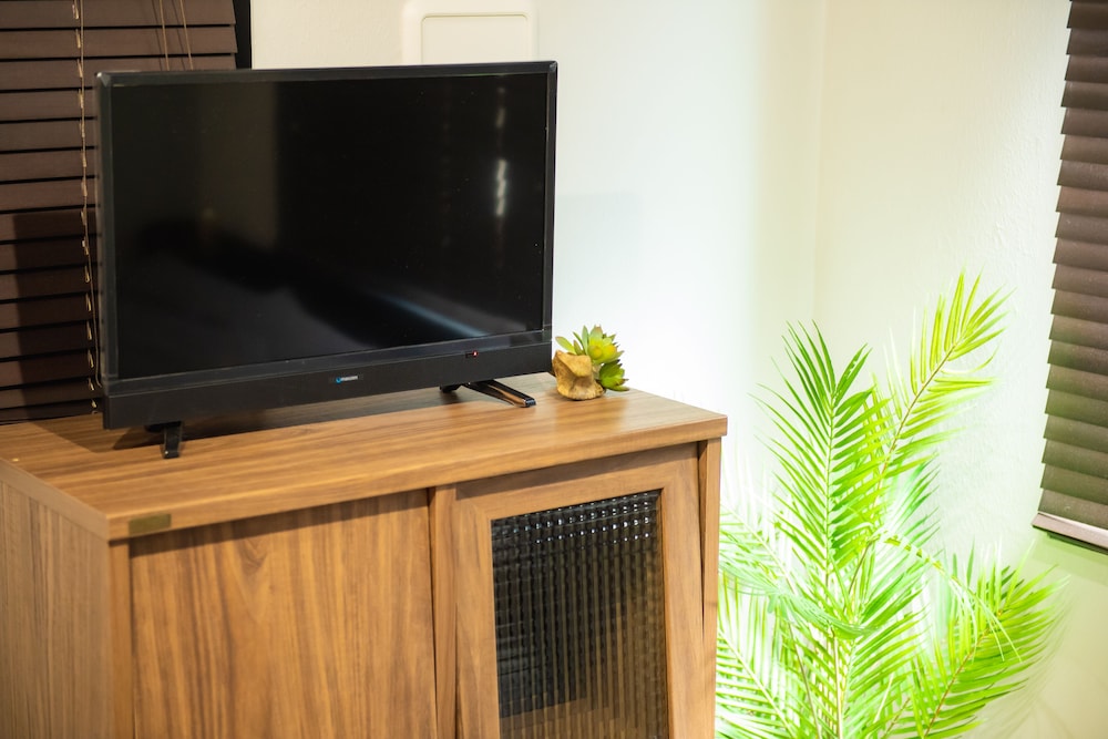 Television