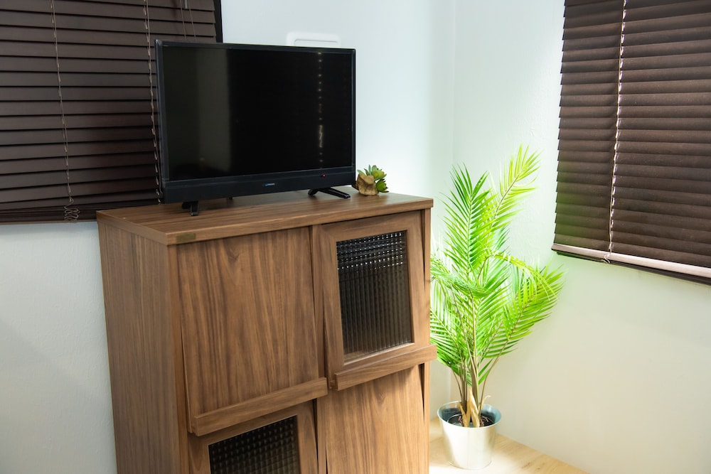 Television
