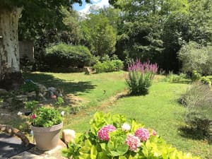 thumbnail: Garden