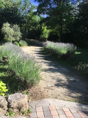 thumbnail: Garden view
