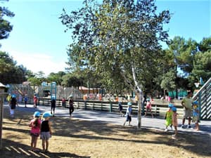 thumbnail: Sport court