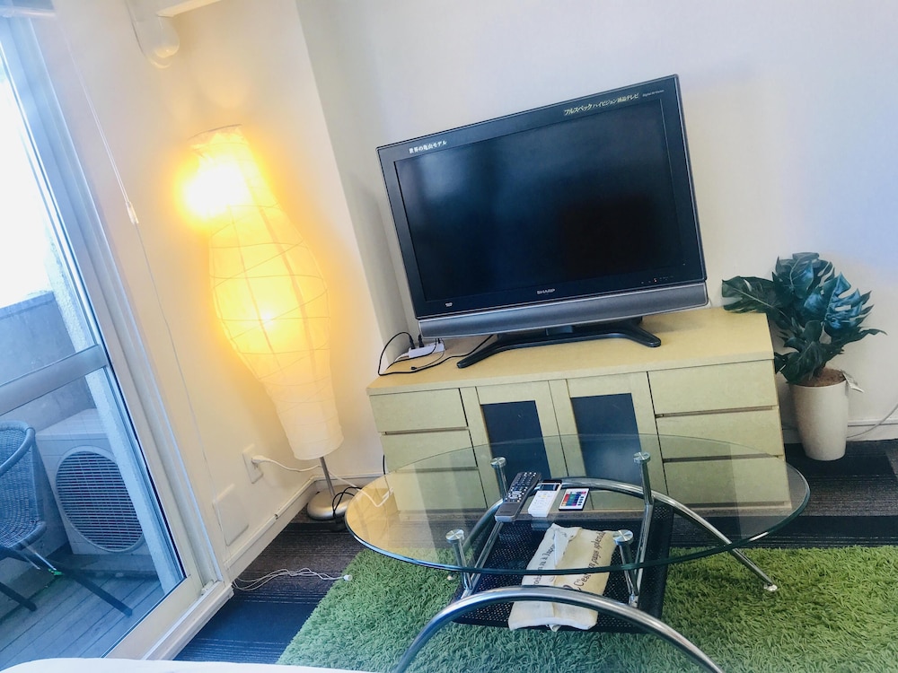 Television