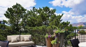thumbnail: Terrace/patio