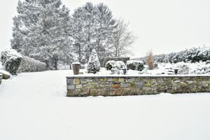thumbnail: Garden