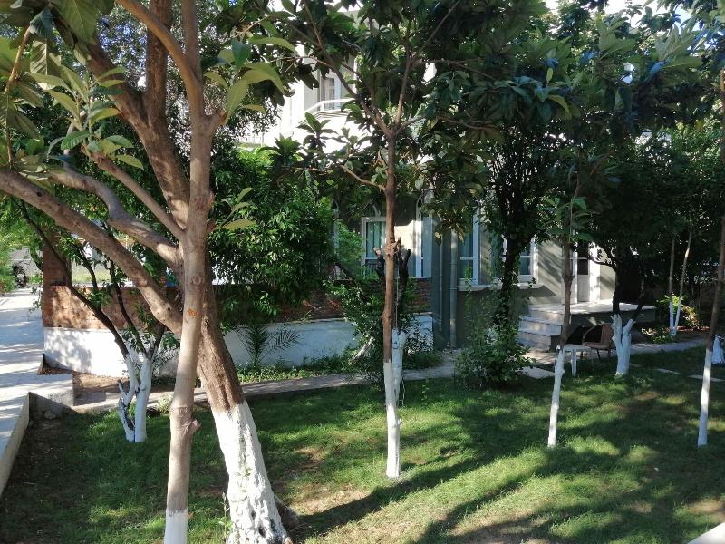 General view