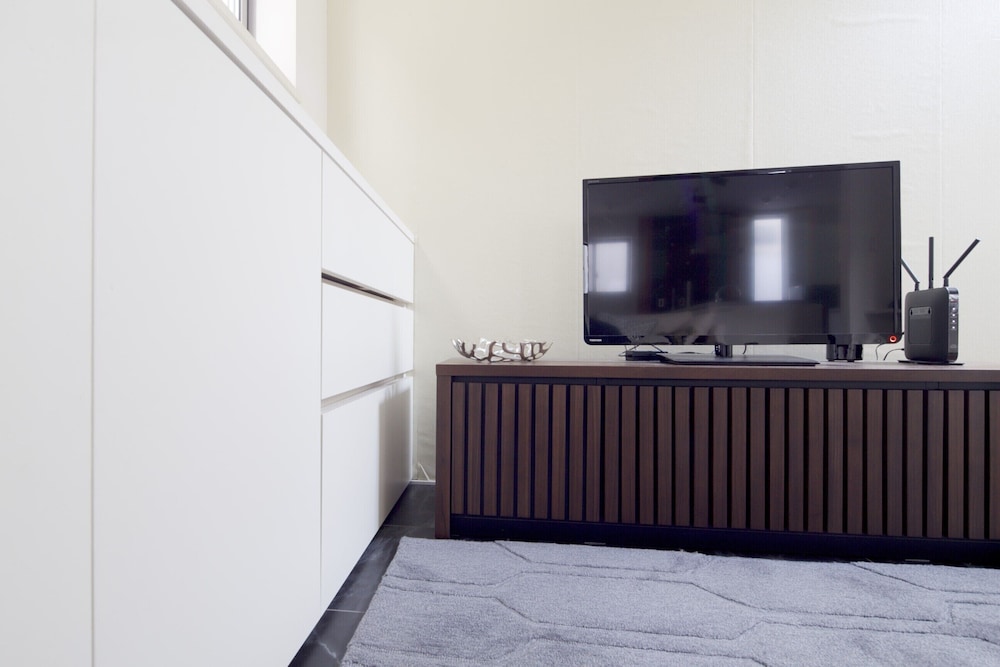 Television