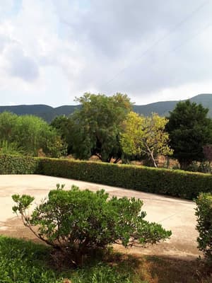 thumbnail: Garden