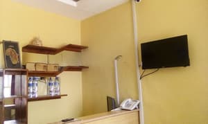 thumbnail: Reception