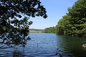 thumbnail: View from property