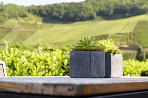 thumbnail: Garden