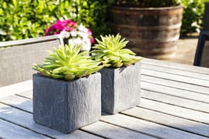 thumbnail: Garden