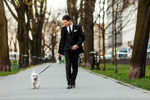 thumbnail: Pet-friendly
