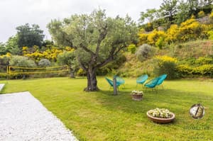 thumbnail: Garden
