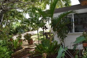 thumbnail: General view