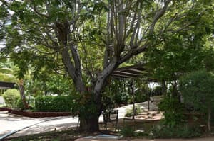 thumbnail: General view