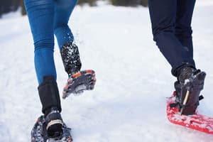 thumbnail: Snow and ski sports