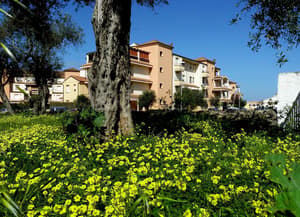 thumbnail: Exterior