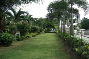 thumbnail: View from property