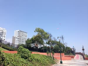 thumbnail: General view