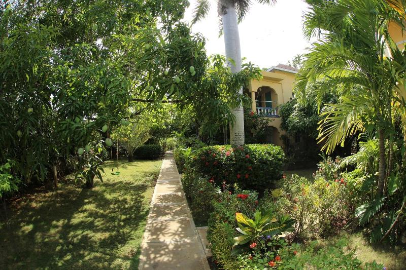 General view