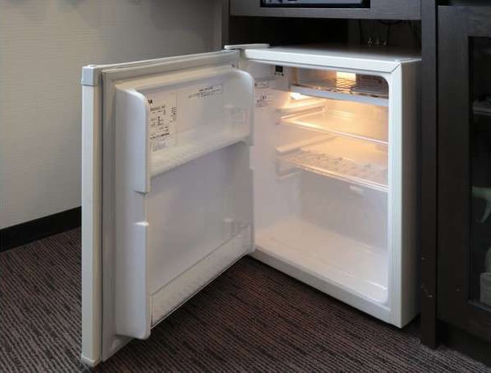 Mini-refrigerator