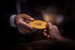 thumbnail: Reception