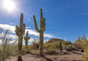 thumbnail: Desert view