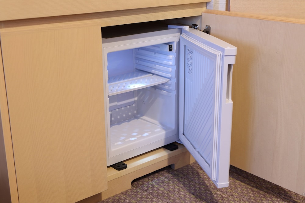 Mini-refrigerator