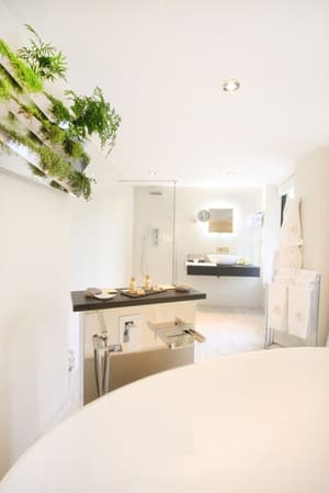 thumbnail: Interior