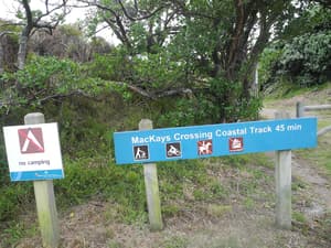 thumbnail: Hiking
