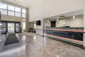 thumbnail: Reception