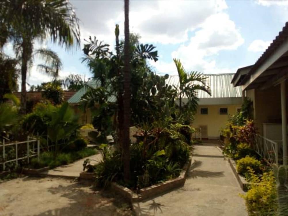 Primary image