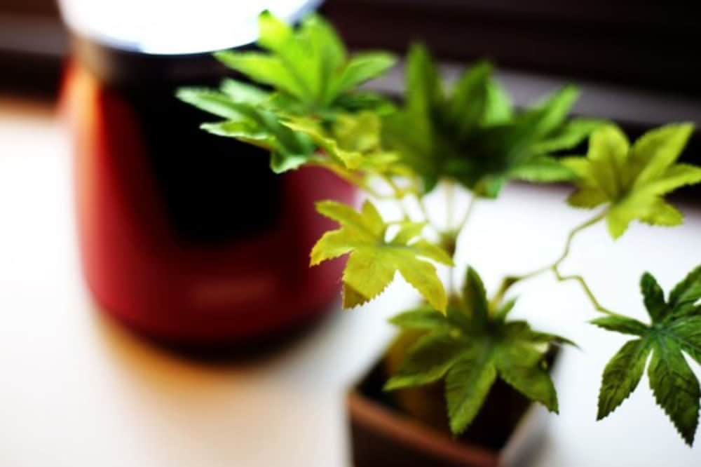 Mini-refrigerator