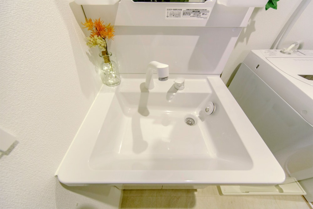 Bathroom sink