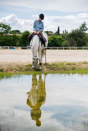 thumbnail: Horseback riding