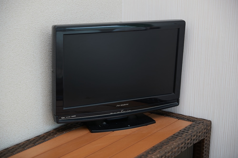 Television