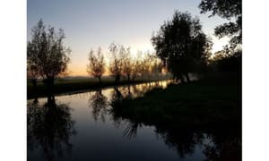 thumbnail: Property grounds