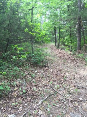 thumbnail: Front of property