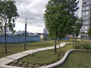 thumbnail: Garden