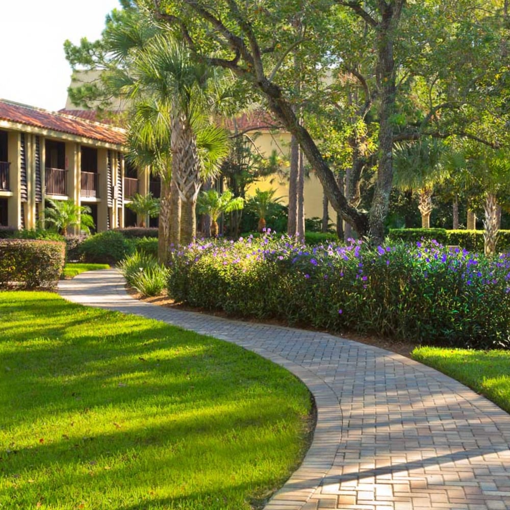 Garden view