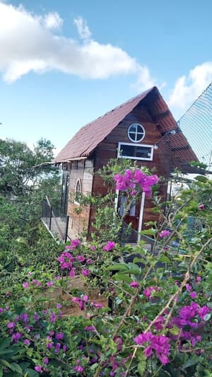 thumbnail: Garden