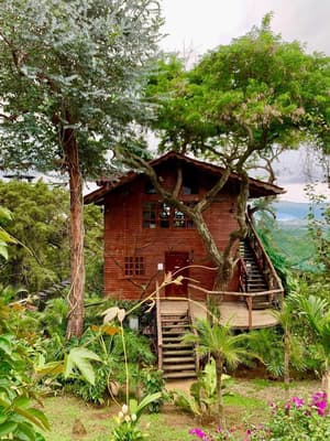 thumbnail: Property grounds